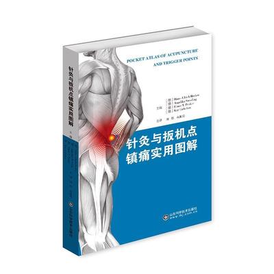 针灸与扳机点镇痛实用图解  书 刘伟 9787572302190 医药、卫生 书籍