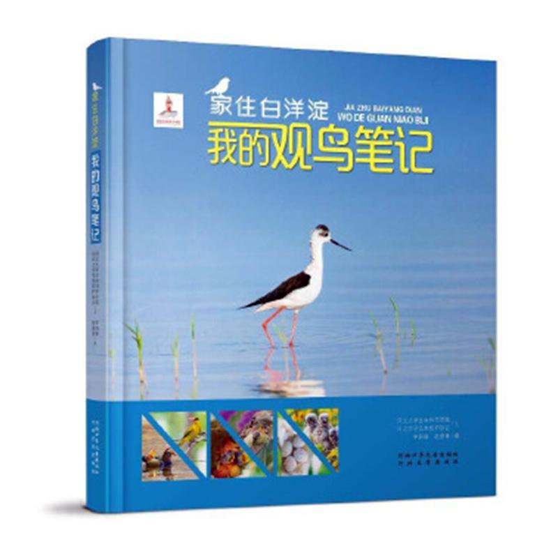 我的观鸟笔记:家住白洋淀 书侯建华李新维赵俊清 自然科学 书籍