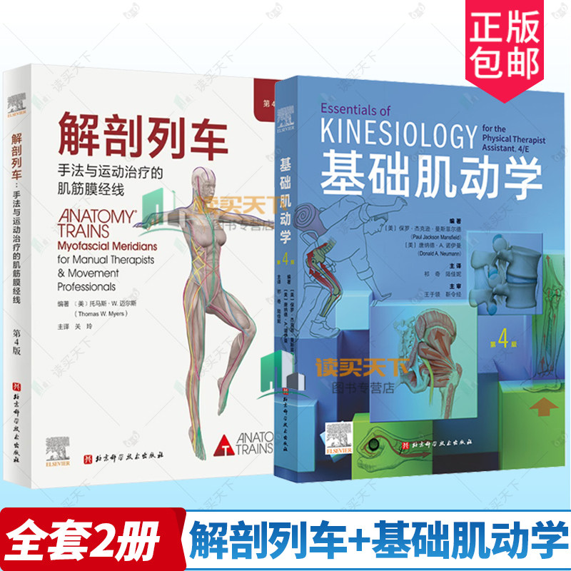 2册 解剖列车手法与运动治疗的肌筋膜经线 第4四版+基础肌动学 第4四版 肌肉骨骼系统的结构和功能 图谱肌动力学书籍 筋膜解剖书