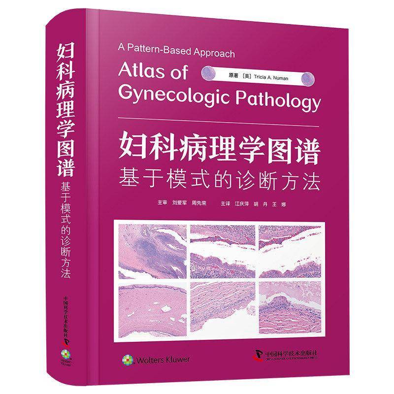 妇科病理学图谱:基于模式的诊断方法 国际经典妇科 临床妇科病理 病理学译著 9787523617618 中国科学技术出版社