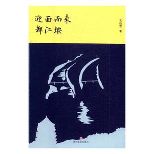 迎面而来都江堰 书文佳君 文学 书籍
