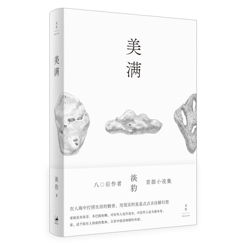 美满 淡豹著短篇小说集 收录九个短篇小说在人海中打捞生活的骸骨用现实的星星点点去注解幻想 书籍上海人民出版社正版