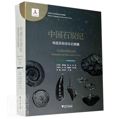 正版中国石炭纪地层9787308198380 向东胡科毅黄兴乔丽秋来等浙江大学出版社自然科学石炭纪区域地层中国图集石炭纪标普通大众书