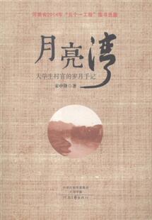 月亮湾:大学生村官的岁月手记宋中锋 长篇小说中国当代小说书籍