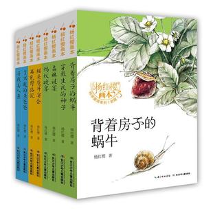 杨红樱画本·科学童话系列 儿童读物书籍 杨红樱岁 全8册