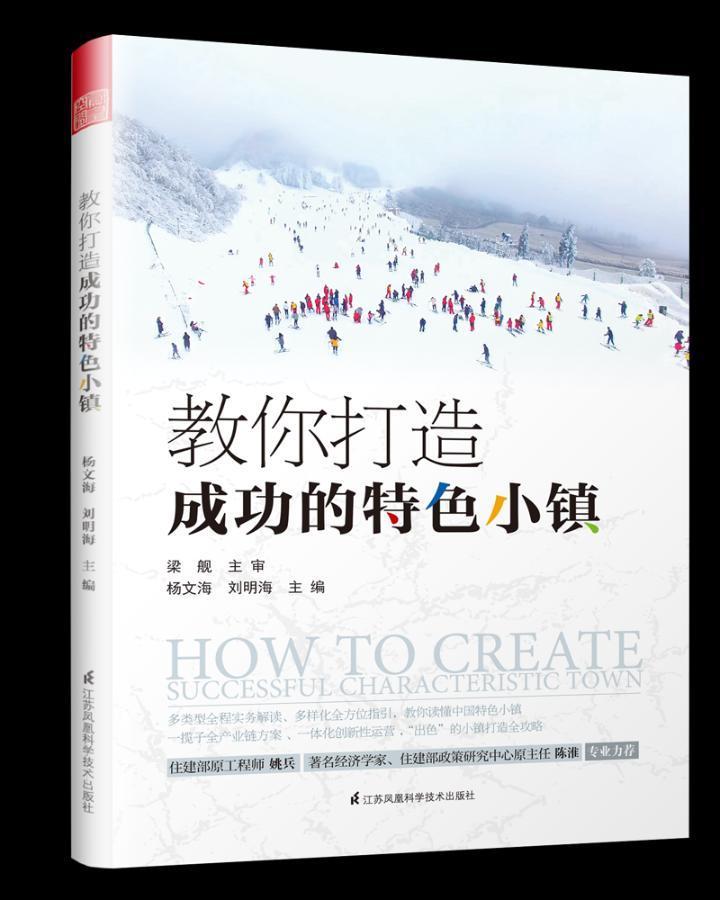 教你打造的小镇杨文海 小城镇城市建设研究中国建筑书籍