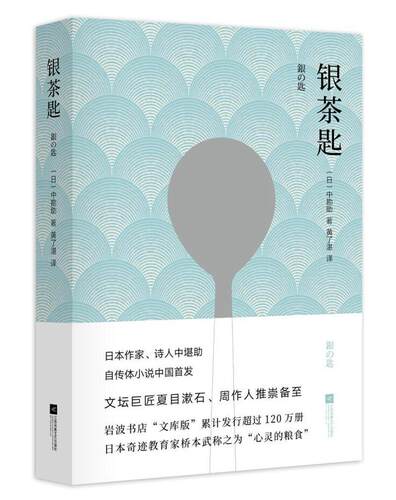 银茶匙中勘助一般读者儿童小说长篇小说日本现代小说书籍