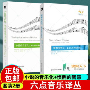 音乐化 社 华东师范大学出版 论音乐形式 包邮 小说 内容 理论与历史研究 媒介间性 文学理论 正版 惯例 六点音乐译丛 智慧