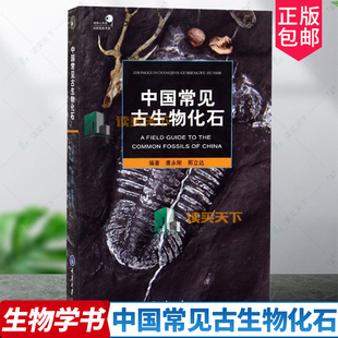中国常见古生物化石 中国古生物化石群 如何寻找化石 化石的收藏与保管 常见化石 古生物化石群 古生物爱好者书籍 重庆大学出版
