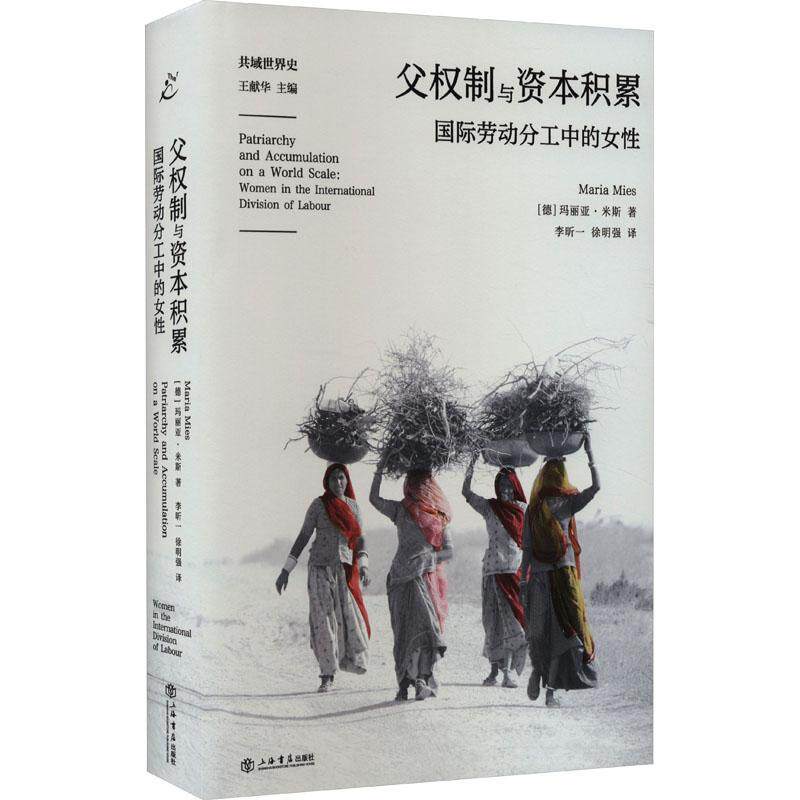 父权制与资本积累:劳动分工中的女徐明强  社会科学书籍