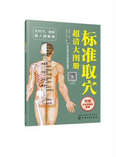 标准取穴超清大图册 尹爱兵普通大众集医药卫生书籍 附手足反射区挂图大尺全彩真人图解版