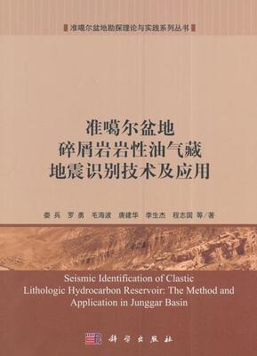 准格尔盆地碎屑岩岩油气藏地震识别技术及应用娄兵等 准噶尔盆地碎屑岩岩油气藏地震识自然科学书籍