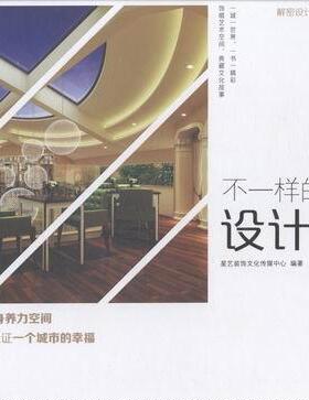 不一样的设计效果星艺装饰文化传媒中心 室内装饰设计作品集中国现代艺术书籍