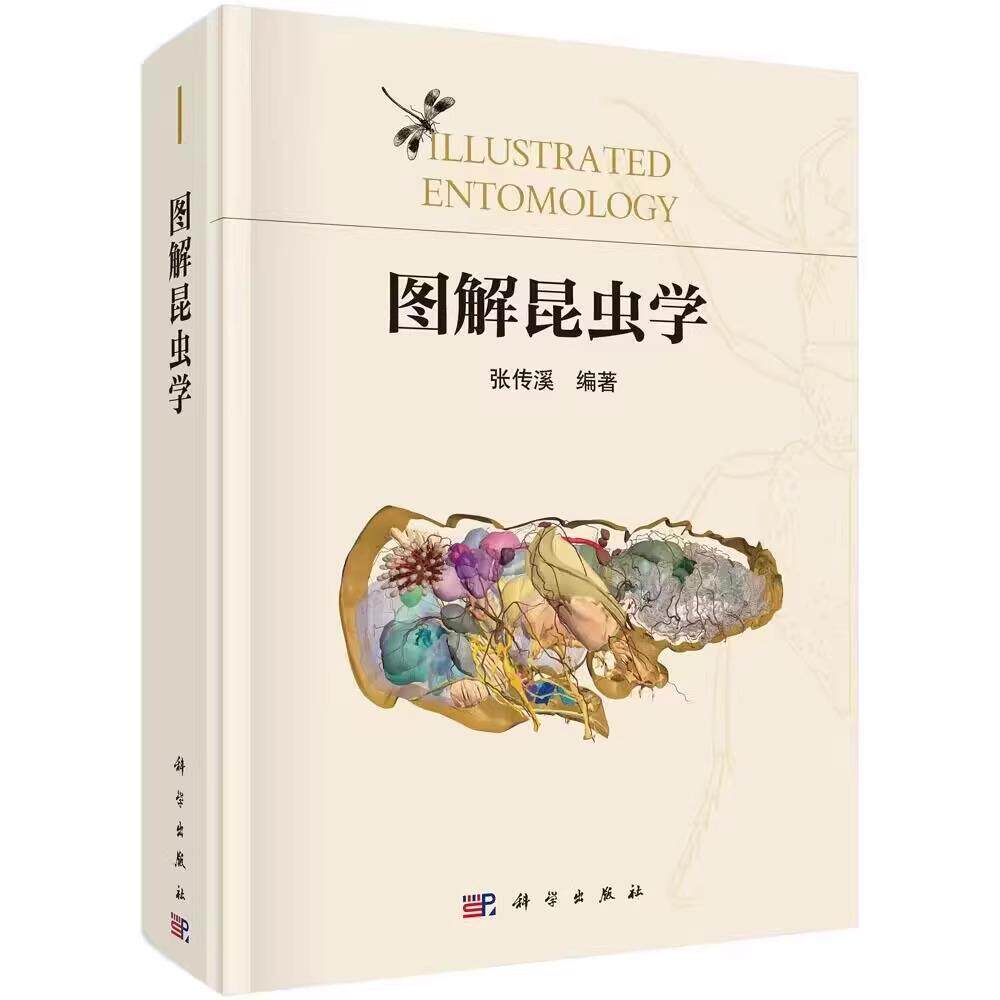 图解昆虫学 张传溪编著科普类读物昆虫学入门教材昆虫生物学 昆虫分类学 昆虫生态学 9787030774606 兜锹花臂常见昆虫野外识别手册