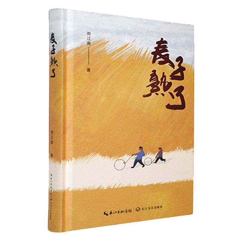 麦子熟了9787570233137 雨江南长江文艺出版社文学 书籍图片