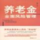 养老金风险管理9787807416876 社经济退休金风险管理研究中国书籍 耿靖文汇出版