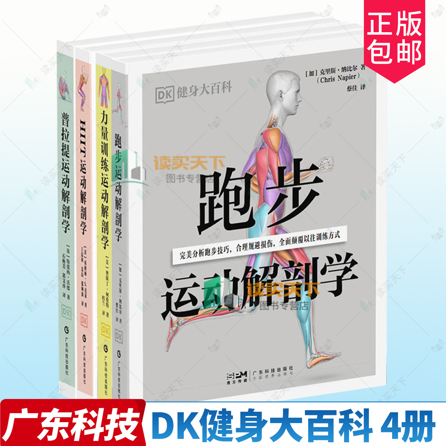 【全4册】DK健身大百科丛书力量训练运动解剖学 普拉提运动解剖学 跑步运动解剖学 HIIT运动解剖学广东科技出版社