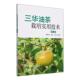三华油茶栽培实用技术谭晓风 林业书籍 农业