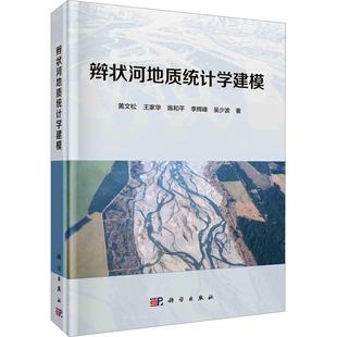 辫状河地质统计学建模黄文松 自然科学书籍