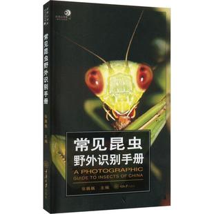 野外昆虫爱好者阅读图书 昆虫科目特征分布地速查工具书 昆虫图鉴科普读物 常见昆虫野外识别手册 重庆大学出版 张巍巍 社