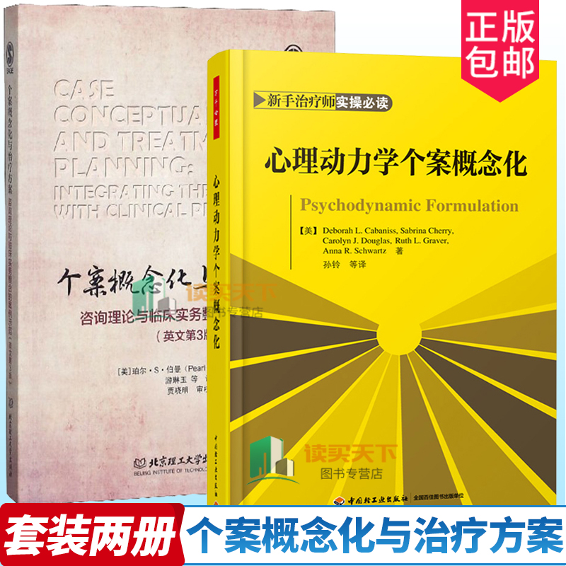 个案概念化治疗咨询理论临床实务