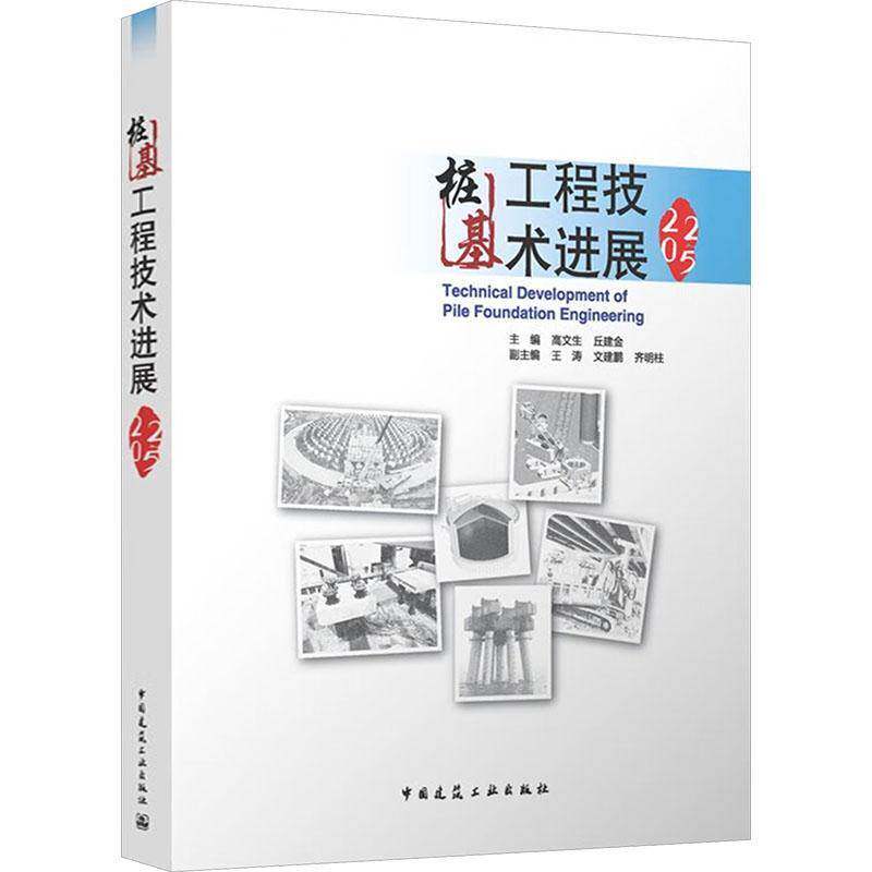 桩基工程技术进展20259787112317851 高文生丘建金副王涛文建鹏齐明柱中国建筑工业图书 书籍