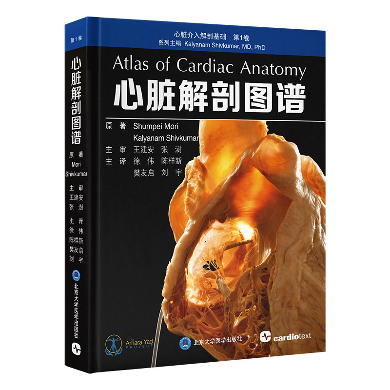 心脏解剖图谱 心脏介入解剖基础第1卷 徐伟 陈样新 樊友启 刘宇 心脏人体解剖学 图谱解剖学9787565934766北京大学医学出版社
