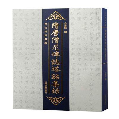 隋唐僧尼碑志塔铭集录介永强  历史书籍