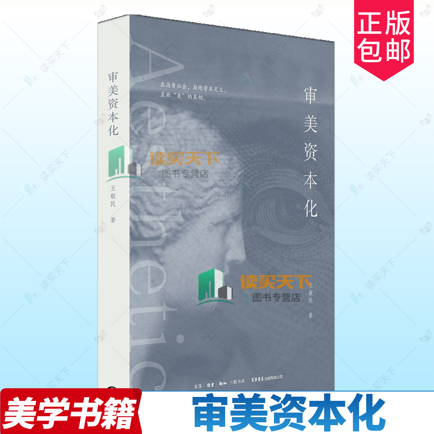 正版包邮 审美资本化 王敬民著消费社会 符号化 审美治理 审美批评鲍德里亚审美资本主义书籍