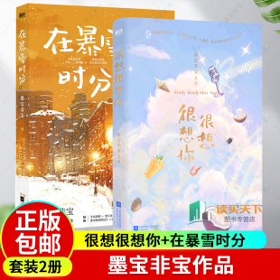檀健次 书籍青春言情小说 2册 蜜汁炖鱿鱼 吴磊赵今麦主演电视剧原著小说 周也 墨宝非宝 在暴雪时分 很想很想你 包邮 正版