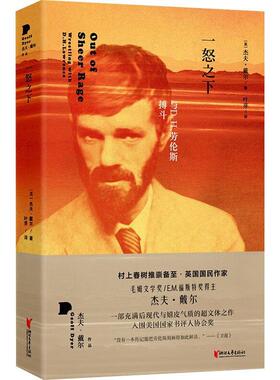 一怒之下杰夫·戴尔  文学书籍