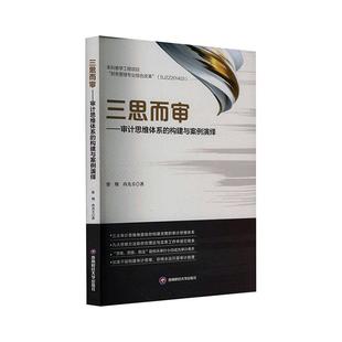 三思而审 经济书籍 构建与案例演绎徐翔 审计思维体系