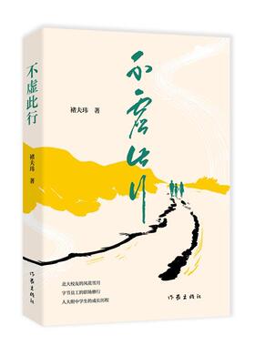 不虚此行褚天玮  文学书籍
