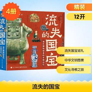 流失的国宝:海外博物馆里的中国记忆9787121517204 懂懂鸭电子工业出版社图书 书籍