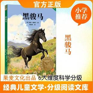 黑骏马9787556881284 安娜·塞维尔二十一世纪出版社集团图书 书籍