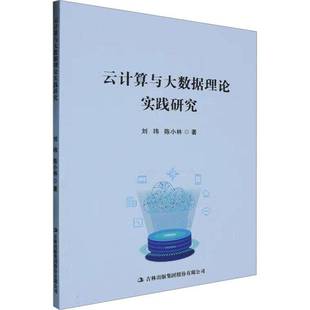 云计算与大数据理论实践研究陈小林 计算机与网络书籍