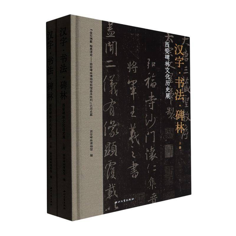 正版包邮 汉字·书法·碑林:西安碑林文化历史展 9787560459493 西安碑林博物馆 西北大学出版社 历史 书籍