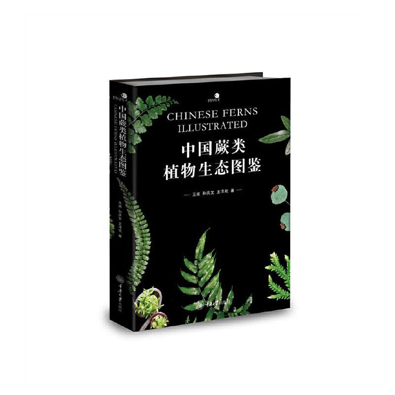 中国蕨类植物生态图鉴 兼具学术性与科普性的蕨类植物彩色生态图鉴 好奇心图鉴系列 王波等主编 重庆大学出版社