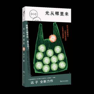 光从哪里来9787532188758 远子上海文艺出版社小说 书籍