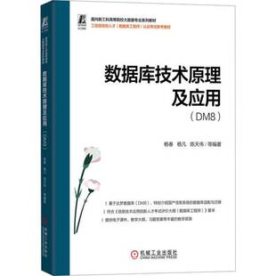 数据库技术原理及应用:DM89787111797388 杨春机械工业出版社图书 书籍