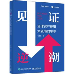 正版 见证逆潮 付鹏 全球资产逻辑大变局的思考 投资决策资产配置攻略资产负债表经济周期证券投资 电子工业出版社