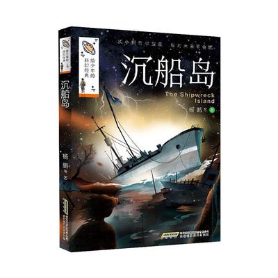 沉船岛杨鹏少年 文学书籍