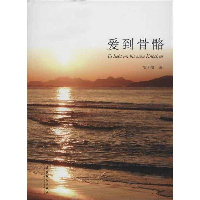 爱到骨骼9787503953682 史为鉴文化艺术出版社小说长篇小说中国当代书籍