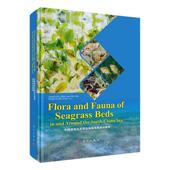 南中国海及其周边海域海床动植物 自然科学书籍