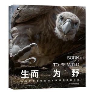 生而为野 中国野生物物影像年赛摄影作品精选野生动物摄影集 中国国家地理自然艺术摄影集 自然景观摄影师的镜头看见野性自然书