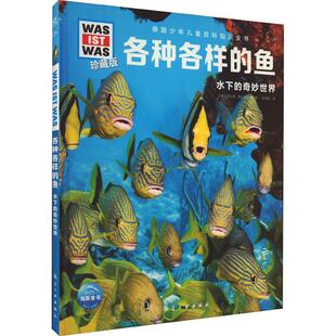 各种各样的鱼：水下的奇妙世界尼科莱·施拉夫斯基  自然科学书籍