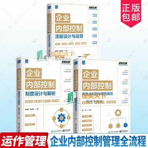 企业内部控制风险点识别与管控规范 任飞 企业内部控制管理制度方案流程标准规范 企业经营管理内控运营人员培训机构培训教材书籍