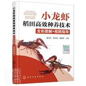 者_黄鸿兵陈友明唐建清责_漆艳 书 9787122372888 农业 书籍 小龙虾稻田种养技术全彩图解 林业 指导