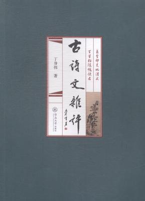 古诗文杂评丁身伟　 古典诗歌诗歌评论中国古诗词研究书籍