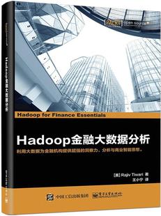 经济 书 书籍 Hadoop金融大数据分析